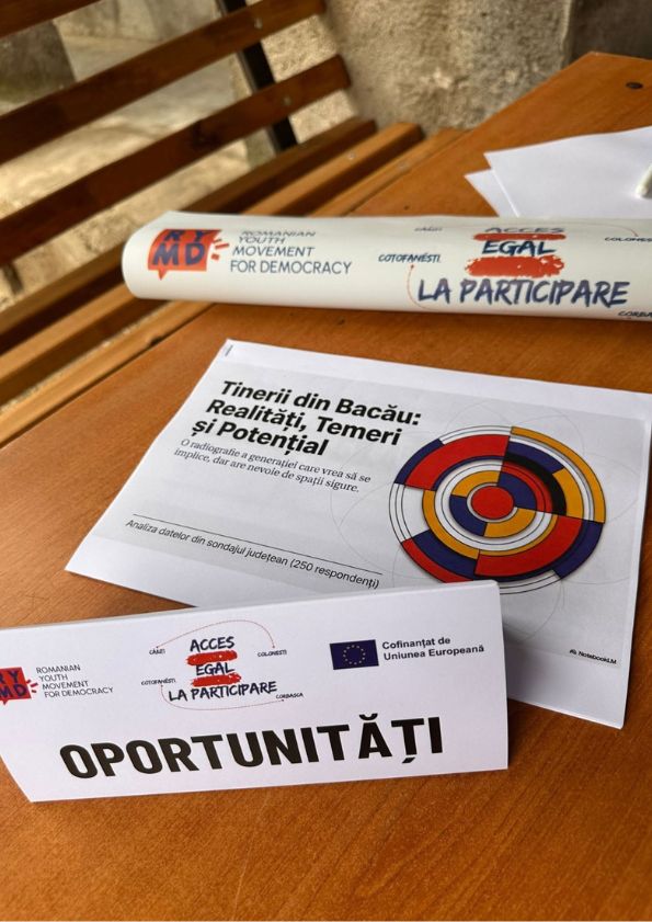 Vocea tinerilor din comunitățile mici trebuie să se regăsească în viitoarea Strategie Europeană pentru Tineret